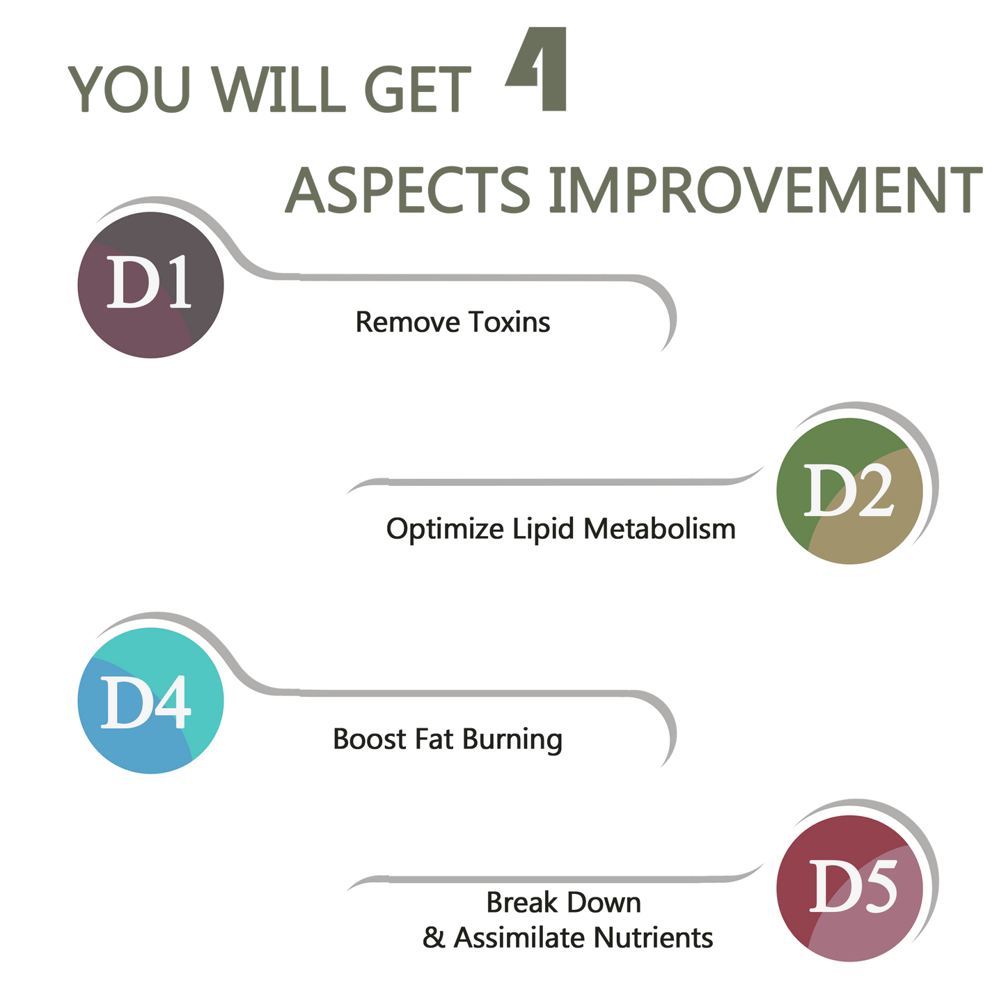 digestive conditioning set by a quality life nutrition