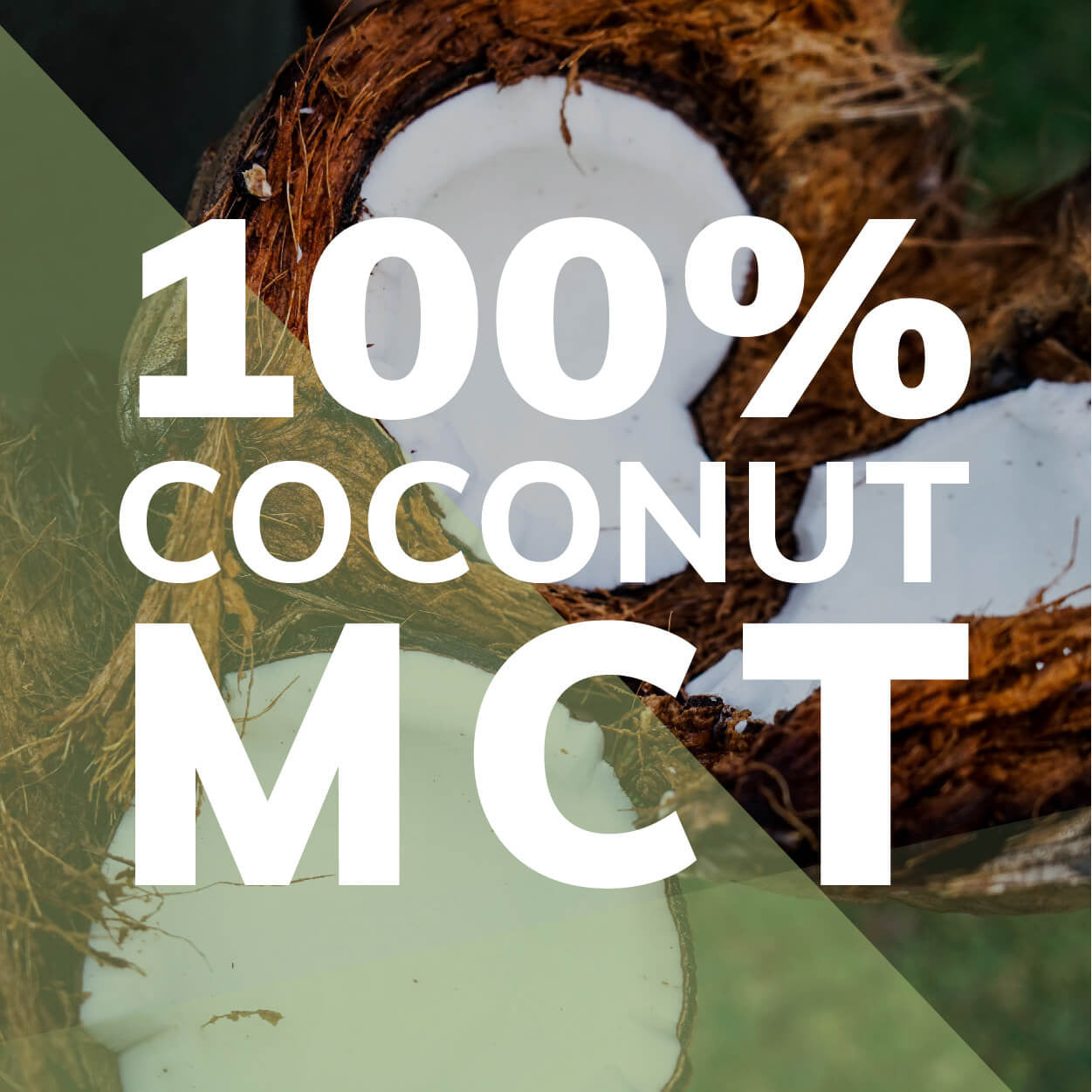 organic wild mct oil from 100% coconuts by wild foods