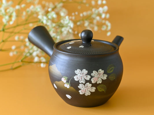 Handcrafted Japanese Kyusu Teapot with Filters (350 ml) by Aprika Life