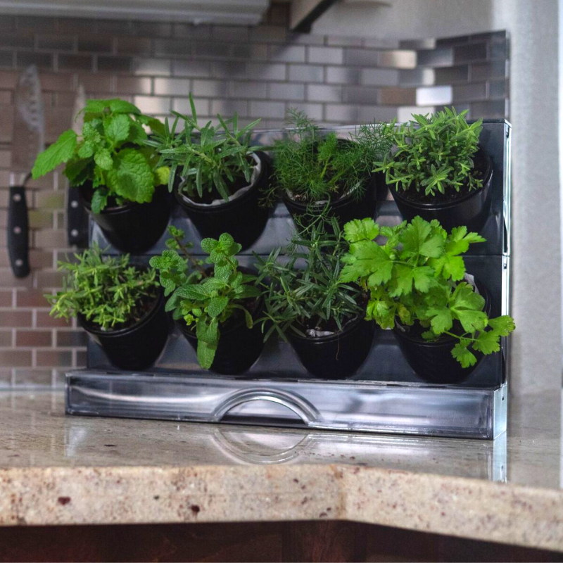 countertop garden kit by watex