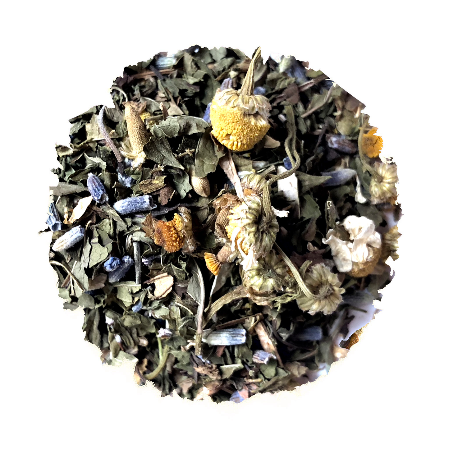 embrace the beach life iced blend by beach house teas