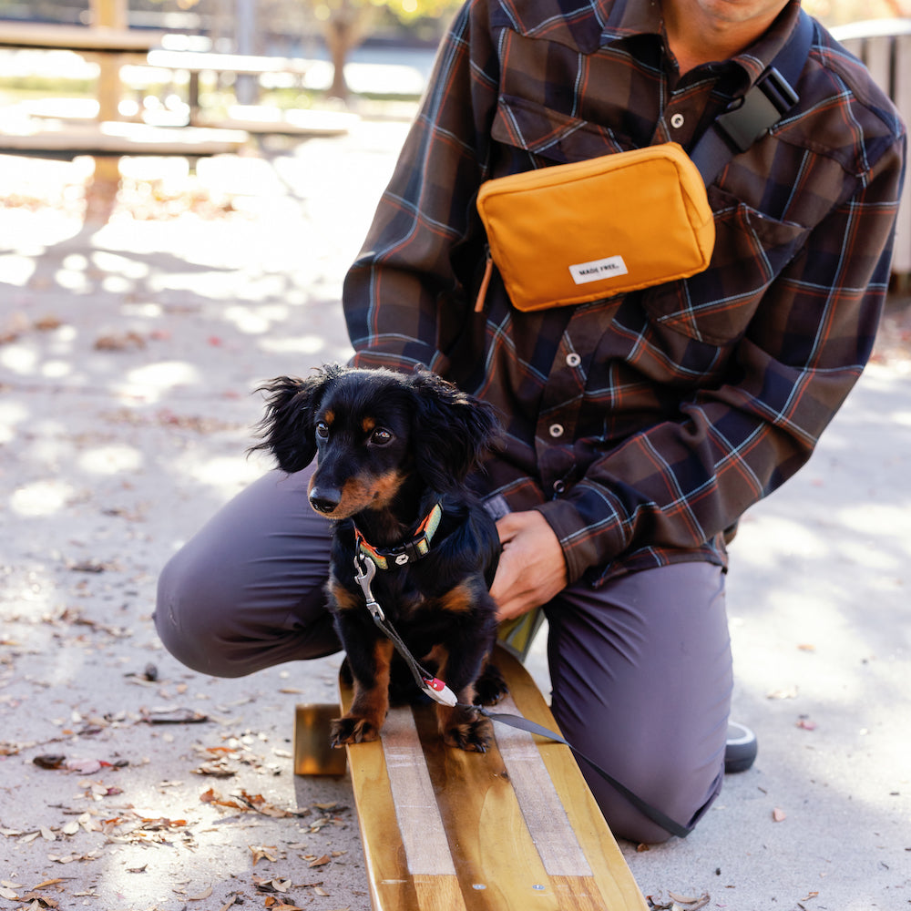 hip pack aw burnt orange by made free®