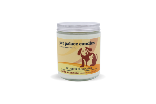 Hello Sunshine Pet Odor Eliminator Candle by Garsnett Beacon Candle Co.