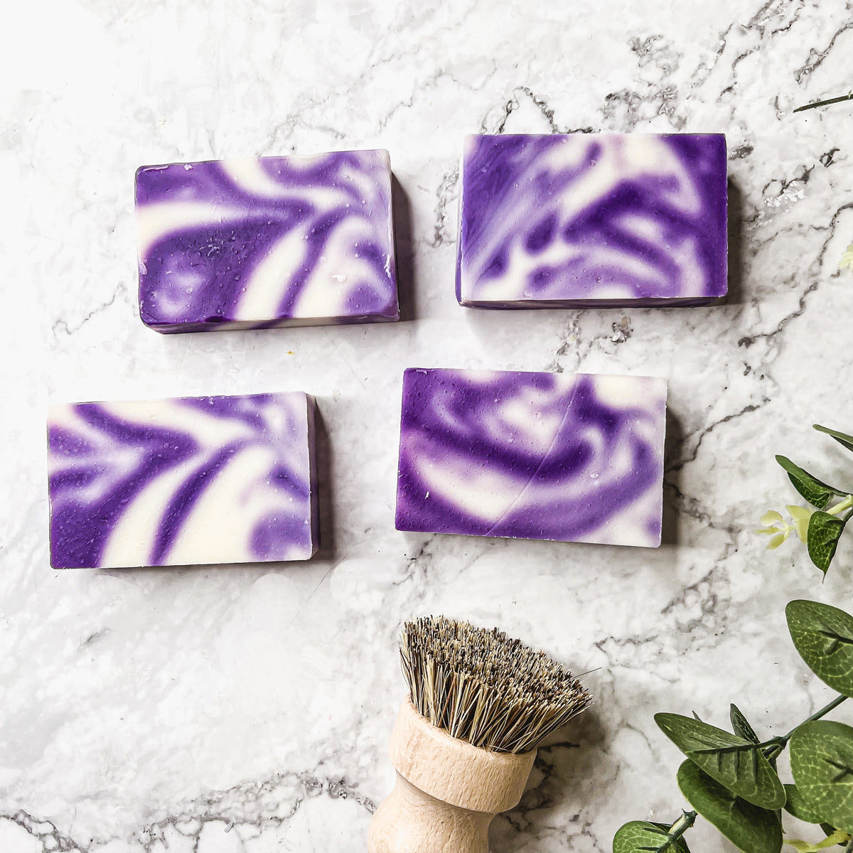 lavender swirl by gia roma