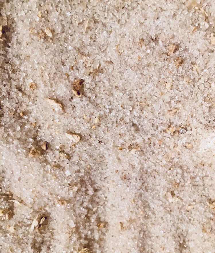 ginger snap infused artisan culinary sugar by beach house teas