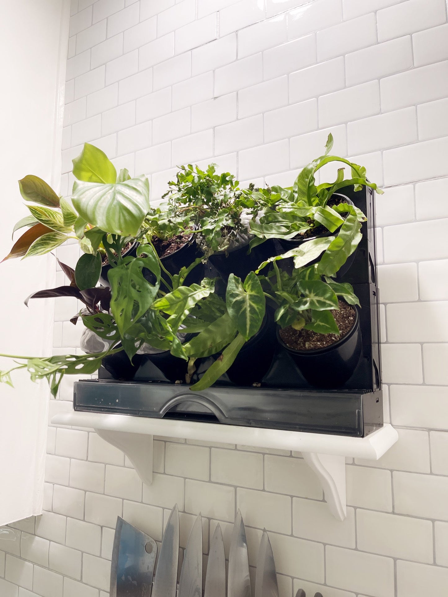 countertop garden kit by watex