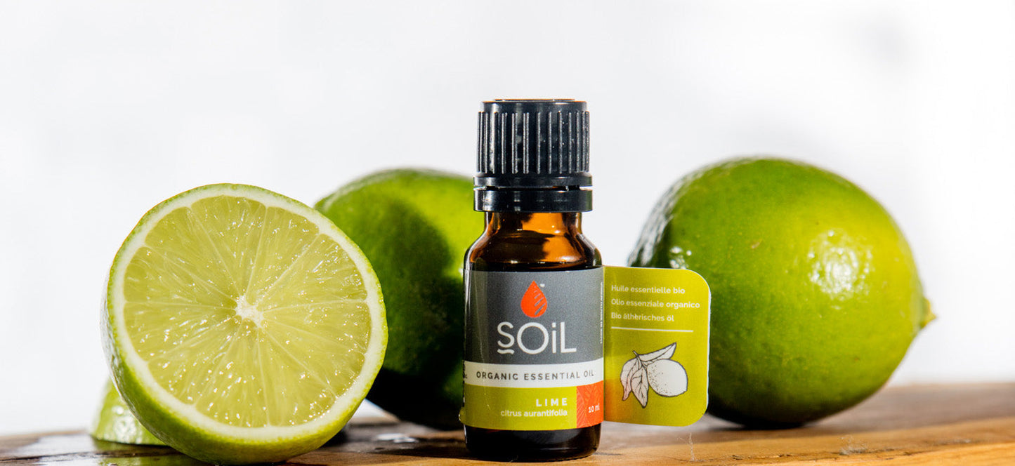 organic lime essential oil (citrus aurantifolia) 10ml by soil organic aromatherapy and skincare