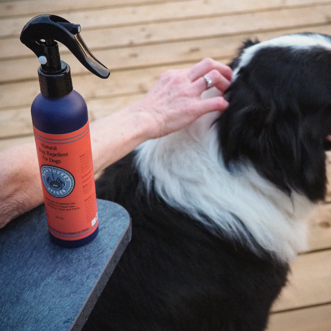 natural bug repellent spray for dogs by nantucket spider & nantucket footprint