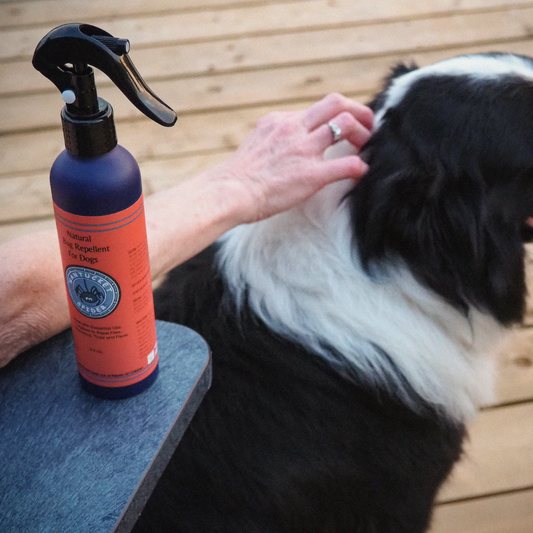 Natural Bug Repellent Spray For Dogs by Nantucket Spider & Nantucket Footprint