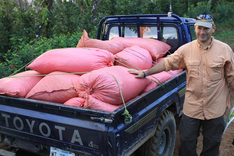 nicaragua - finca san jose de las nubes - washed process by nossa familia coffee