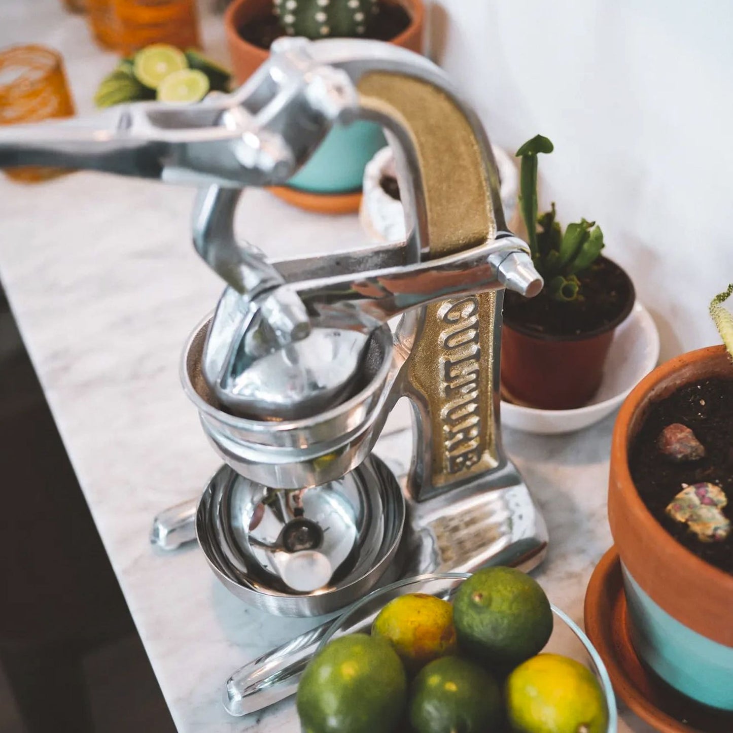 artisan citrus juicer - small by verve culture