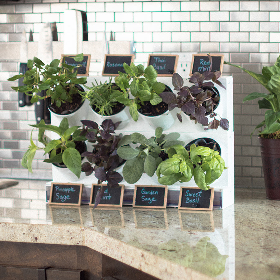 countertop garden kit by watex