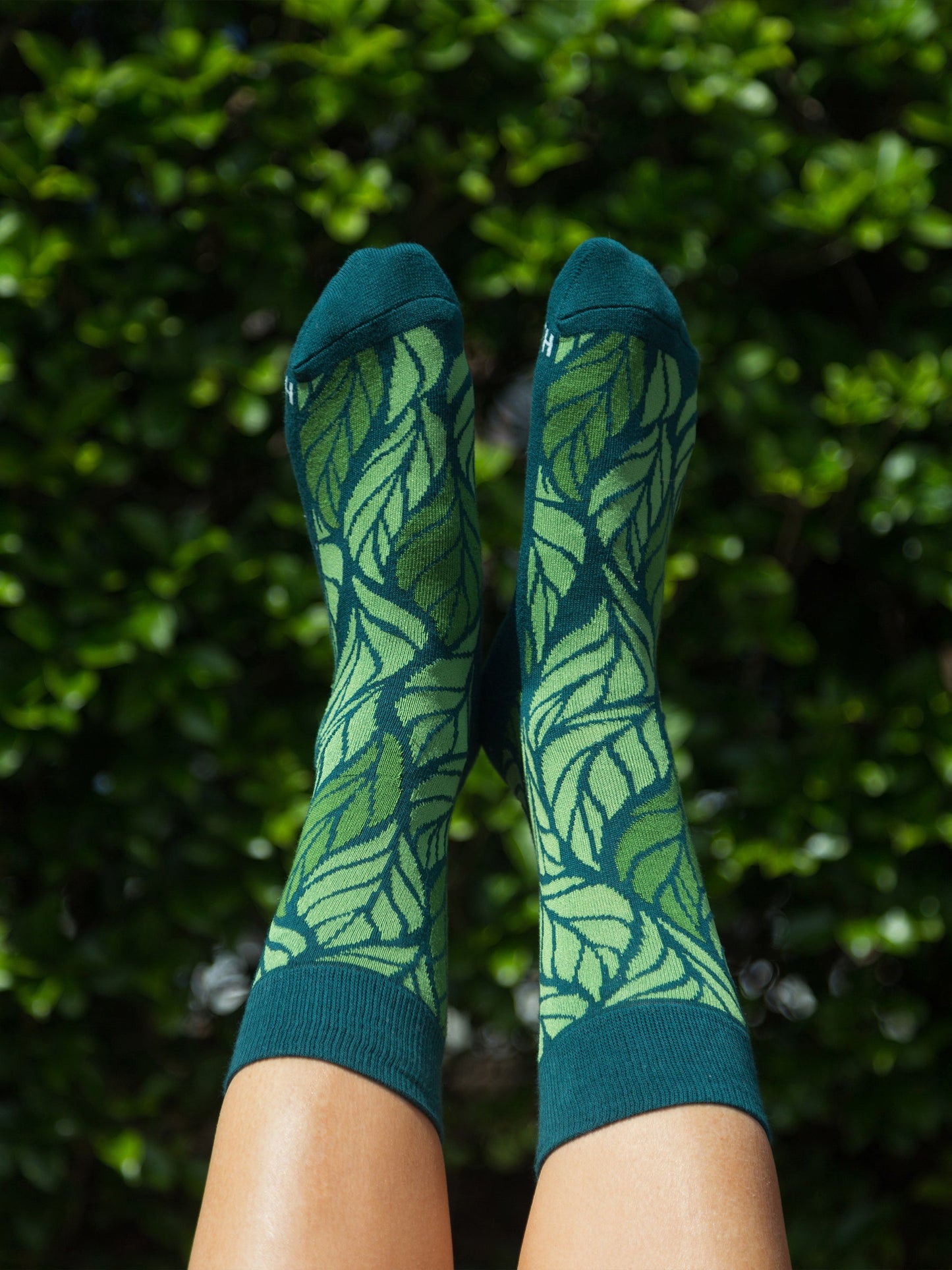 into the woods socks - set of 3 by happy earth