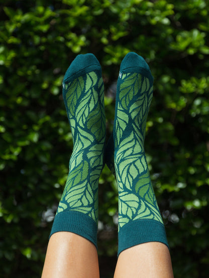 Into the Woods Socks - Set of 3 by Happy Earth