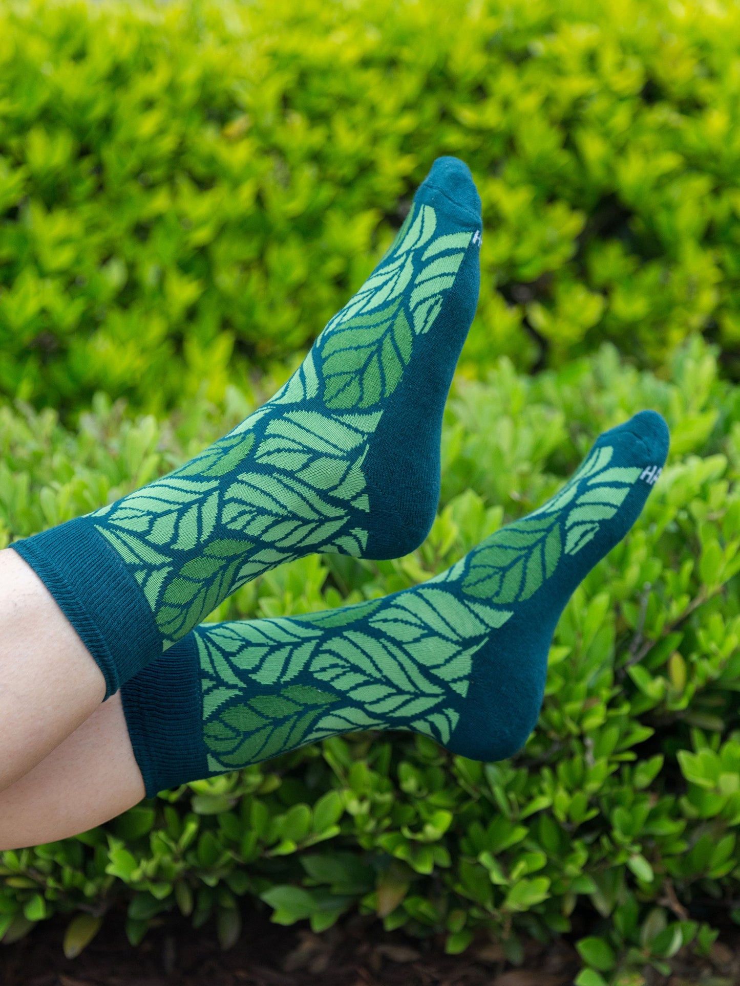 leaf socks by happy earth