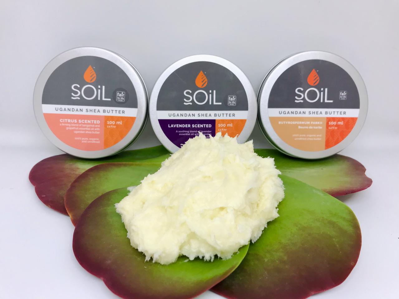 organic shea butter - citrus scented 100ml by soil organic aromatherapy and skincare