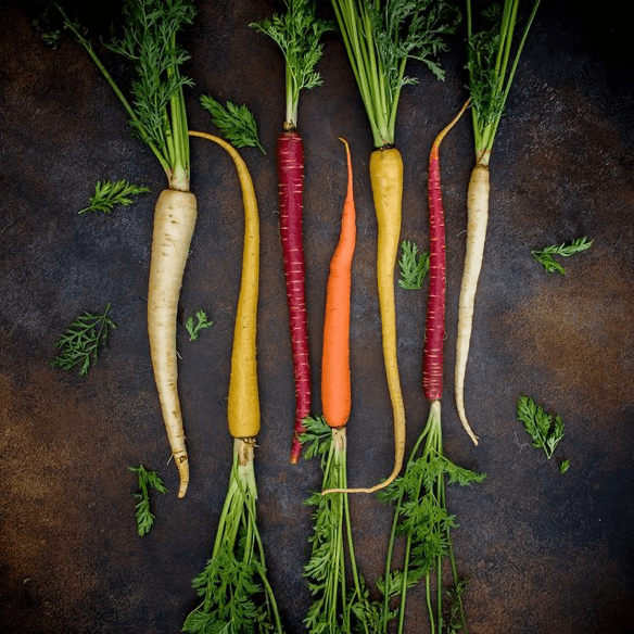 organic carrot powder by dr. cowan's garden