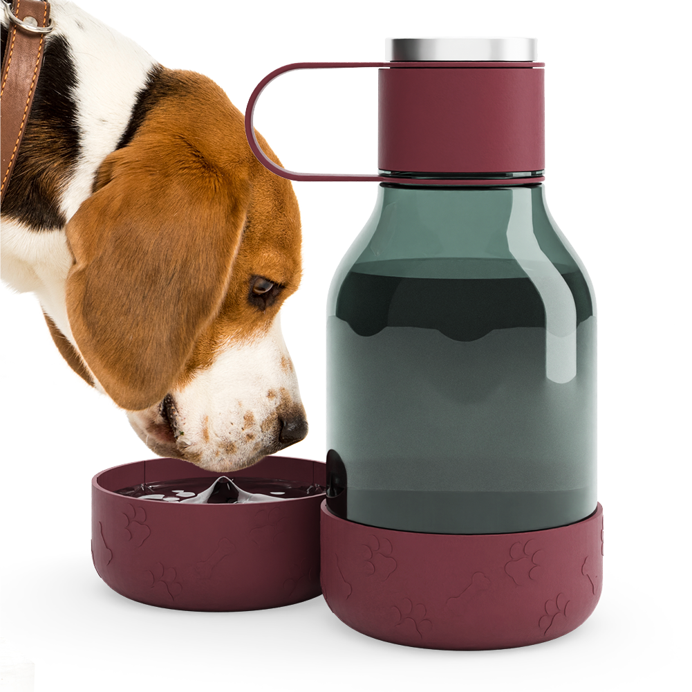 burgundy dog bowl bottle lite by asobu®