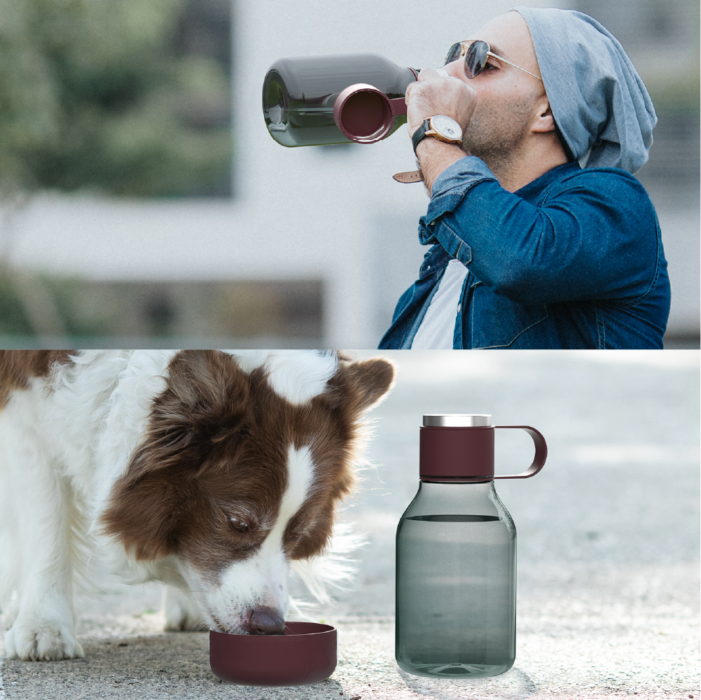 burgundy dog bowl bottle lite by asobu®