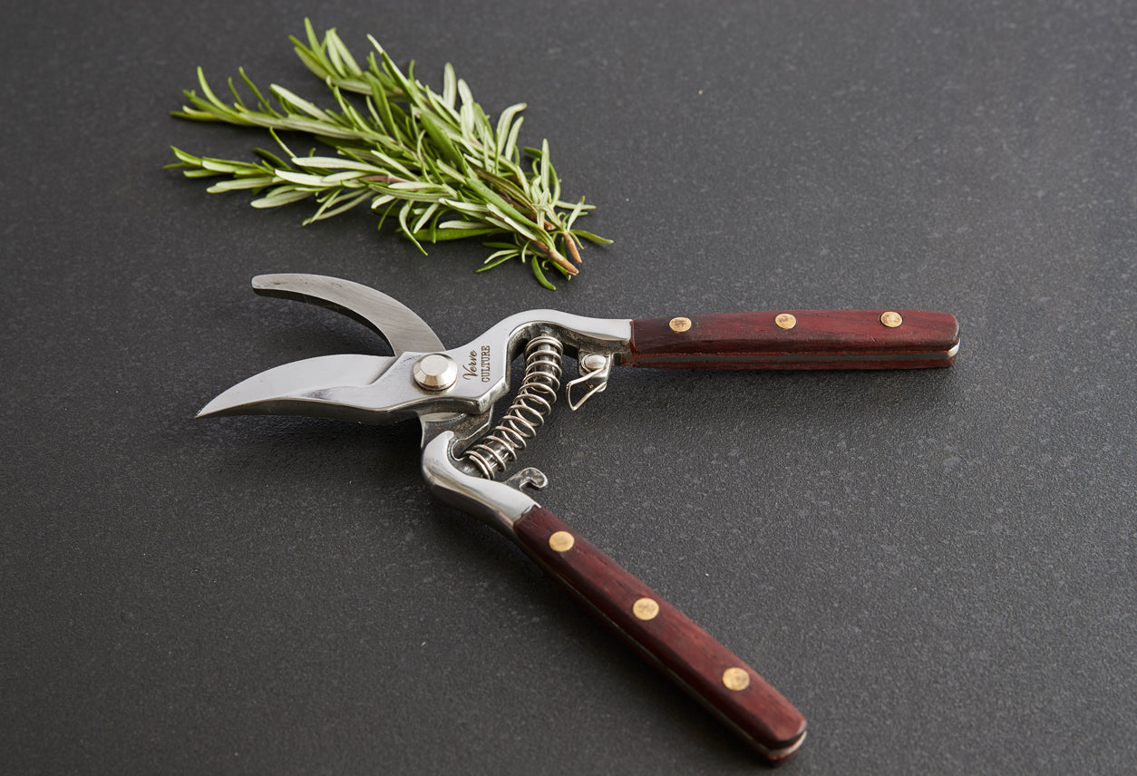 thai kitchen and garden shears by verve culture