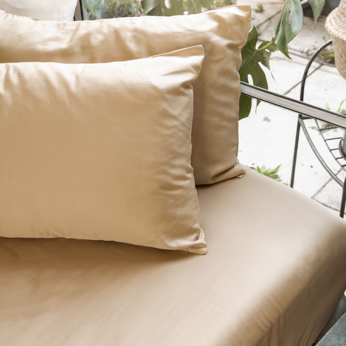 signature sateen fitted sheet by ettitude