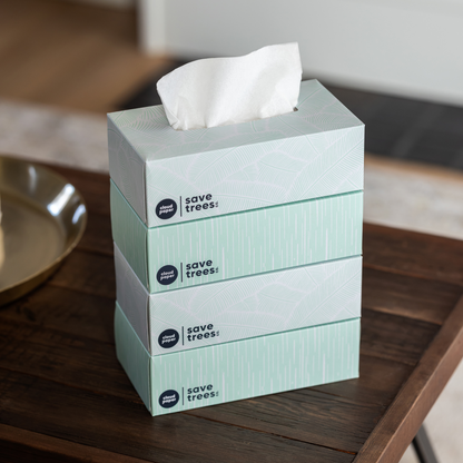 Bamboo Tissues - 24 Tissue Boxes by Cloud Paper