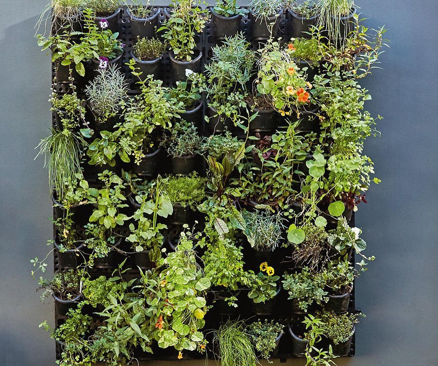 expandable green wall with built-in micro dripper - 4 pack by watex