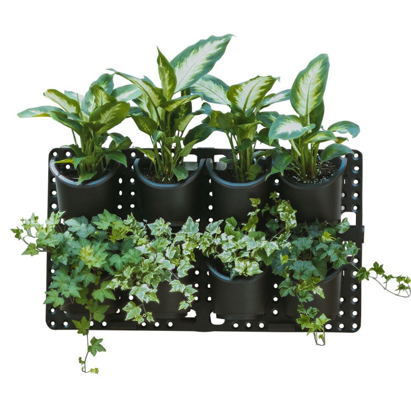 expandable green wall with built-in micro dripper - single by watex