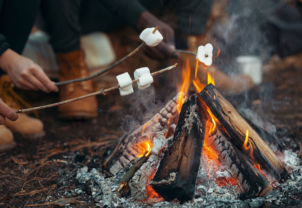 campfire and fireflies organic handmade soap by sweet harvest farms