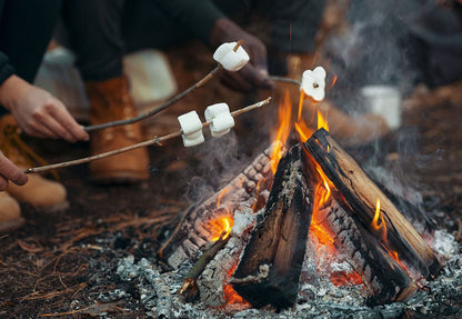 Campfire and Fireflies Organic Handmade Soap by Sweet Harvest Farms