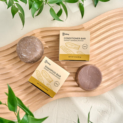 Shower Routine Bundle by The Earthling Co.