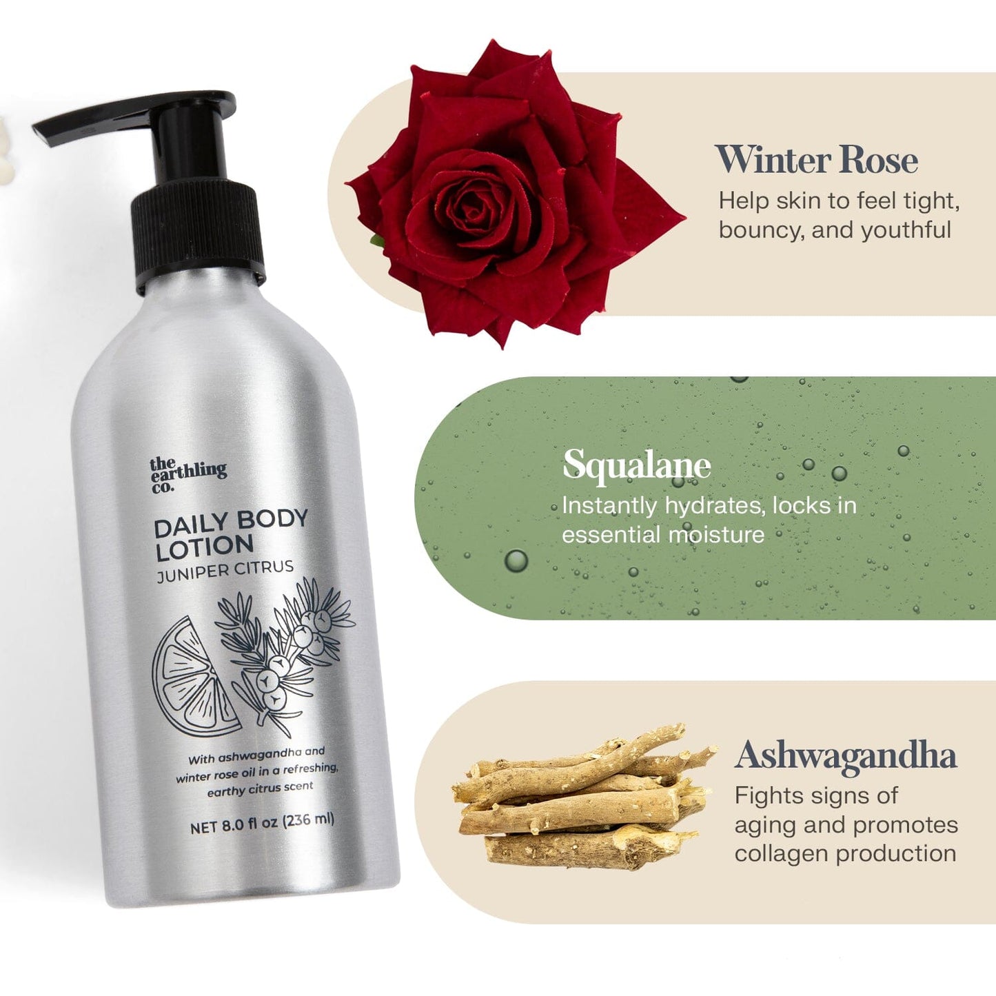 smooth skin bundle by the earthling co.