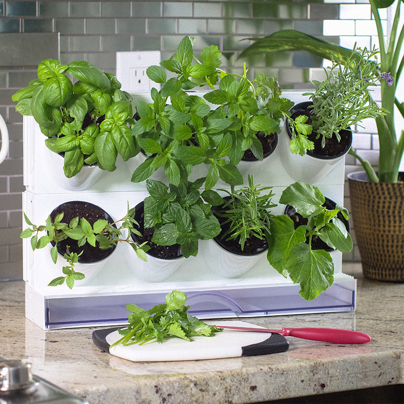 countertop garden kit by watex